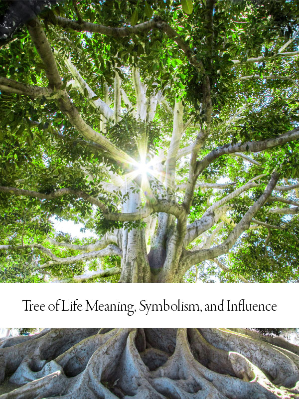 Photograph of a tree with large roots and a lush green crown with overlaid text in a white bar that reads 'Tree of Life Meaning, Symbolism, and Influence'