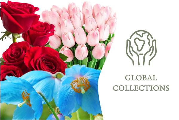 Collage of flowers on the left side with text 'Global Collections' on the right side to showcase various flowers from around the world that inspired a toiletry makeup bag collection