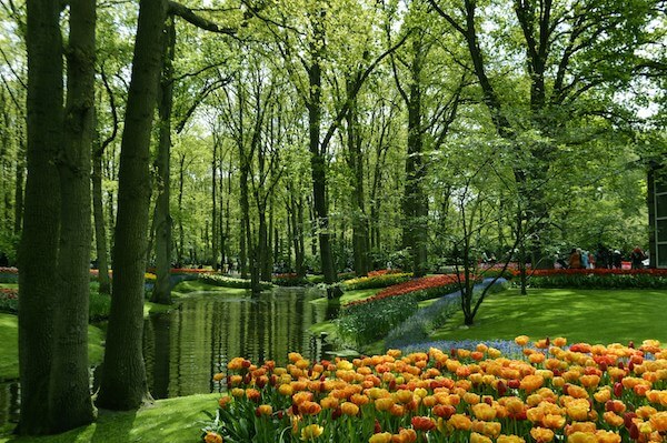 Photograph of the Keukenhof Gardens in the Netherlands to demonstrate how a tulip, iris, and daffodil botanic print is influenced by nature