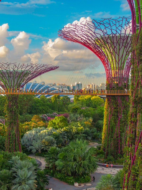 Photograph of the Gardens by the Bay botanical gardens in Singapore to demonstrate how a tropical botanic print is inspired by botanical gardens