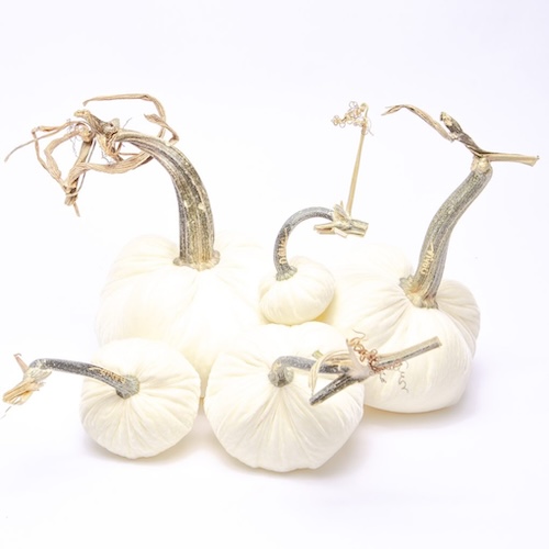 Photograph of set of silk pumpkins to demonstrate glamorous home decor for fall and beyond